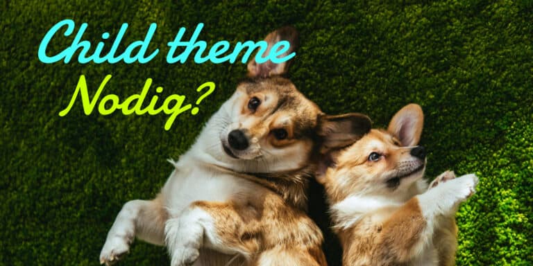 Wat is een Child theme?